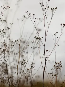 11 minuutin kasvojooga -kirja