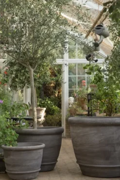 Bergs Potter - ruukku Campana RAW Grey, Ø 60 cm