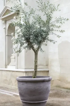 Bergs Potter - ruukku Campana RAW Grey, Ø 60 cm