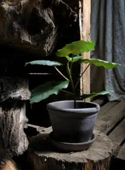 Bergs Potter - ruukku Parade RAW Grey, Ø 13 cm