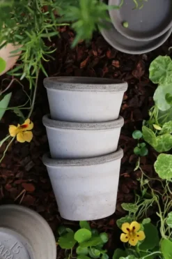 Bergs Potter - ruukku Parade RAW Grey, Ø15 cm