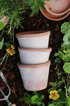 Bergs Potter - ruukku Parade RAW Rosa, Ø 13 cm