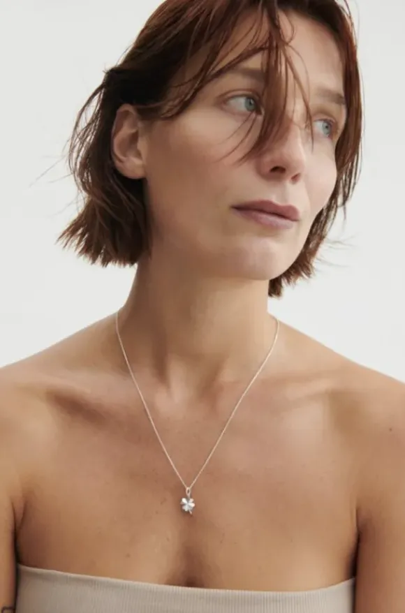 Clover apilariipus, hopea