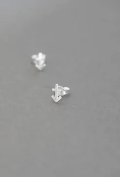 Gauhar - Horoskooppi korvakorut Jousimies, hopea