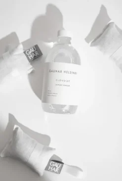 Gauhar - pyykkietikka, Cloudlet