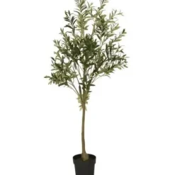 Ib Laursen - Oliivipuu L h166cm