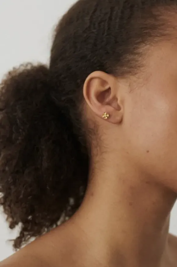 Pernille Corydon - Anemone Helix Piercing, hopea