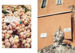 Tarte Tatin, Suuri ranskalainen keittokirja