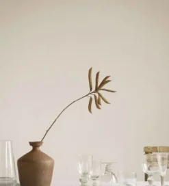 Tine K Home – karahvi