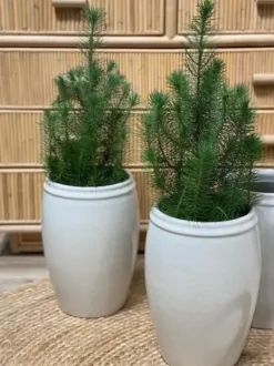 Tine K Home - Korkea ruukku 33cm, valkoinen