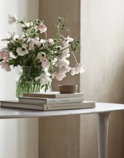 Tine K Home – lasimaljakko, S